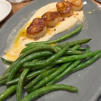 Paddlefish - Scallops - Seafood Near Me - Orlando, Florida Paddlefish - Scallops - Seafood Near Me - Orlando, Florida