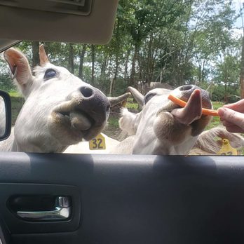 The Preserve - Petting Zoos Near Me - Harpursville, New York
