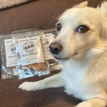 Belly Rub Kitchen - Pet Services Near Me - Honolulu, Hawaii Belly Rub Kitchen - Pet Services Near Me - Honolulu, Hawaii