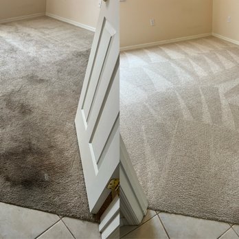 Foaming the Suncoast - Deep clean carpet - Carpet Cleaning Near Me - Bradenton, Florida Foaming the Suncoast - Deep clean carpet - Carpet Cleaning Near Me - Bradenton, Florida