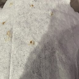 Spots of dirt removed after grooming.