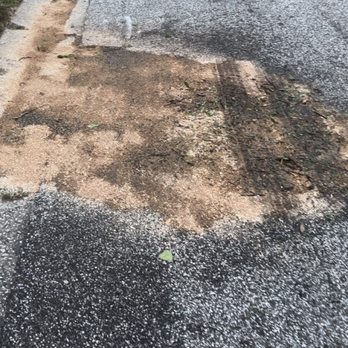 Pinellas Tree Service - Oil in road - Tree Services Near Me - Clearwater, Florida Pinellas Tree Service - Oil in road - Tree Services Near Me - Clearwater, Florida
