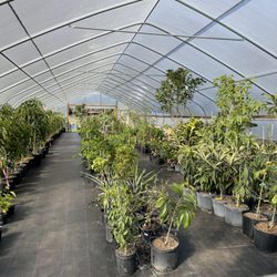 A Land of Delight Natural Farm