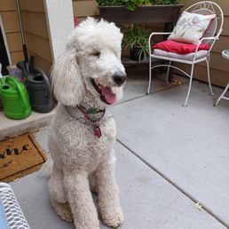 My Lucy