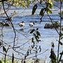 Photo of Baraboo Riverwalk