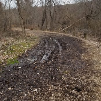 River Point Park - Many wet areas after yesterdays rain. - Parks Near Me - West Warwick, Rhode Island
