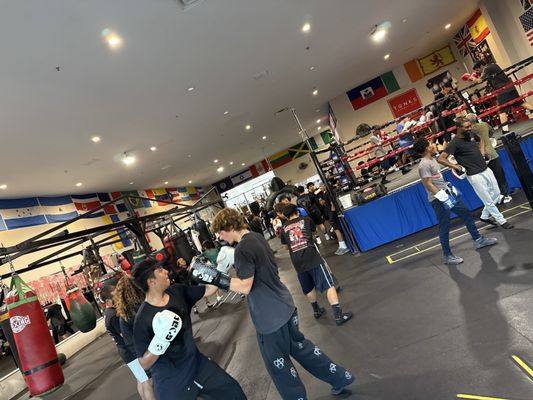 Sweet Science Boxing & MMA by null