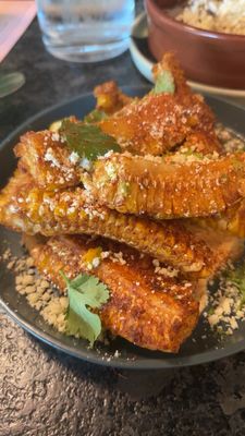 Little Coyote by null