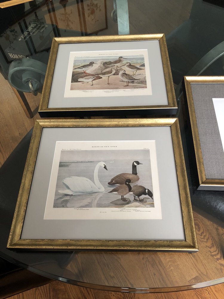 FRAMES UNLIMITED Updated September 2024 116 Royal Oaks Blvd