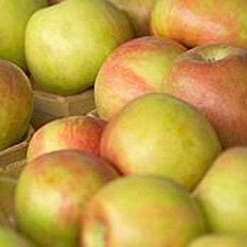 Bridgeport Farmers Market - a large pile of apples - Farmers Market Near Me - Chicago, Illinois Bridgeport Farmers Market - a large pile of apples - Farmers Market Near Me - Chicago, Illinois