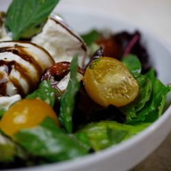 Social Oak - Burrata Salad