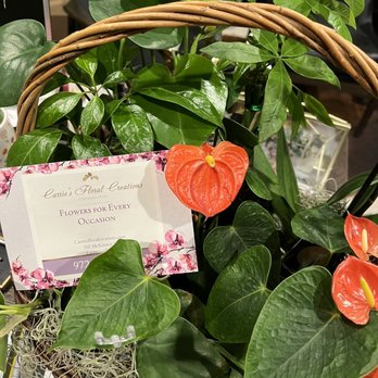Delphinium Designs & Events - Florists Near Me - Dallas, Texas Delphinium Designs & Events - Florists Near Me - Dallas, Texas