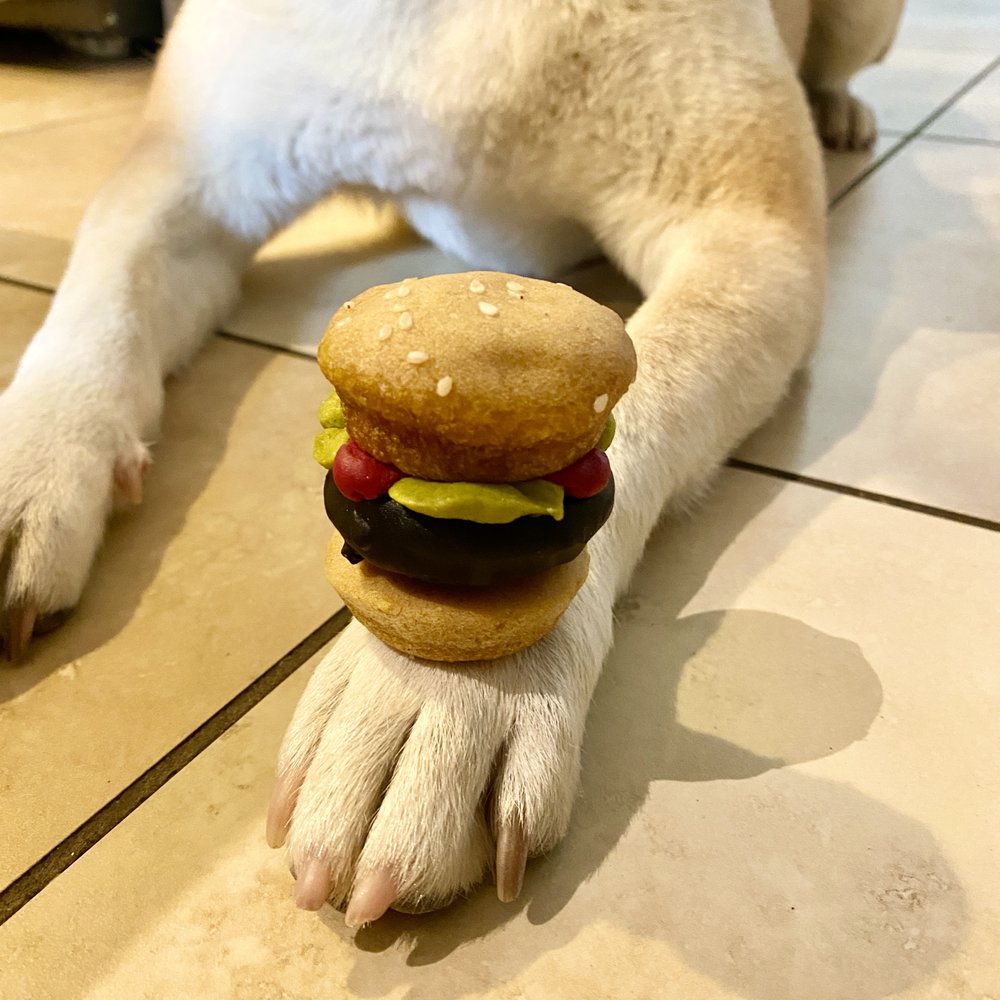 Hamburger Treat Hamburger Treat
