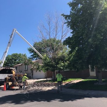 Willco Tree - Tree Services Near Me - Northglenn, Colorado