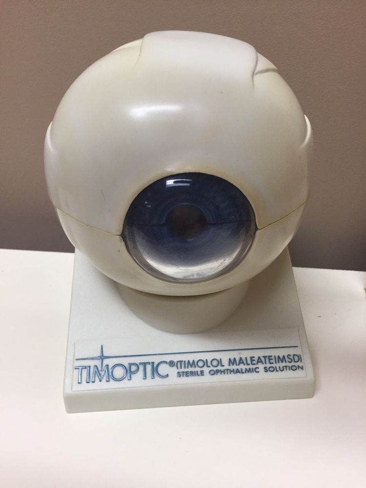 DIMITRI EYE CARE Updated September 2024 1617 Metairie Rd, Metairie, Louisiana