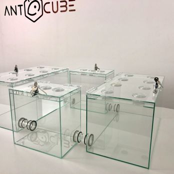 ANTSTORE - Sonderanfertigung B2B - Ameisenanlage für Blattschneiderameisen. - Pet Stores Near Me - Berlin, BE ANTSTORE - Sonderanfertigung B2B - Ameisenanlage für Blattschneiderameisen. - Pet Stores Near Me - Berlin, BE