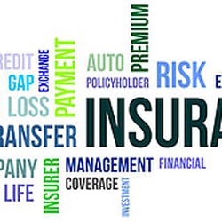 Nicole Daman Insurance Services