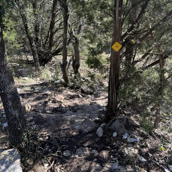 Colorado Bend State Park - Trail marker on the trees - Parks Near Me - Bend, Texas
