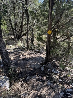 Colorado Bend State Park by null