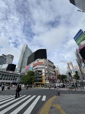 Shibuya Crossing by null