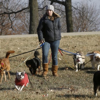 4 Paws and Whiskers - Dog Walkers Near Me 4 Paws and Whiskers - Dog Walkers Near Me