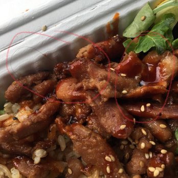 Koja Kitchen - GROSS - Asian Fusion Near Me - Santa Clara, California