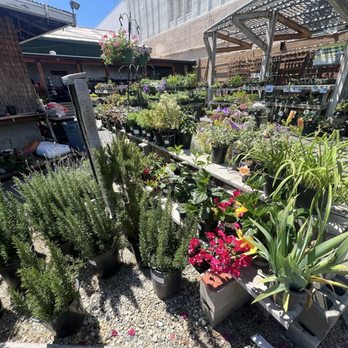 Anawalt Lumber - Nurseries & Gardening Near Me - Los Angeles, California Anawalt Lumber - Nurseries & Gardening Near Me - Los Angeles, California