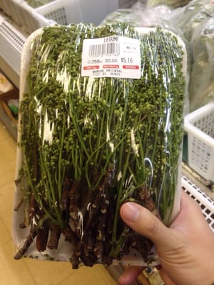 Marché Oriental St-Denis by null