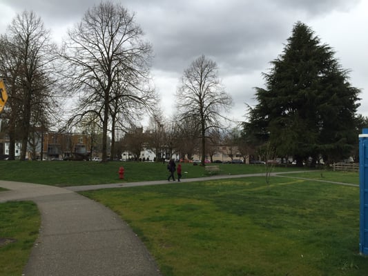 Guelph Park by null