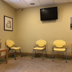 DeMaio Orthodontics - Waiting room