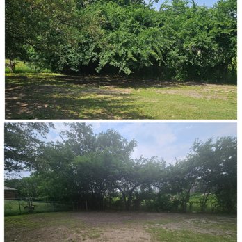 Central Texas Arbor Care - Before and after back corner of my yard - Tree Services Near Me