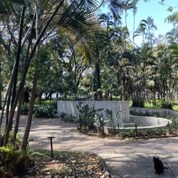 Parque Municipal Américo Renné Giannetti