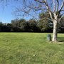 Photo of South Weddington Park