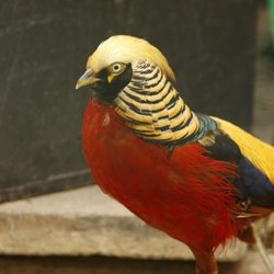 Paradise Wildlife Park