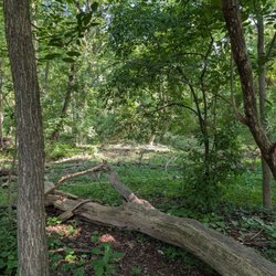 Hines Park - July 2026