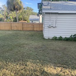 My yard looks like a new story book. I'm so thrilled. My yard looks like a new story book. I'm so thrilled.