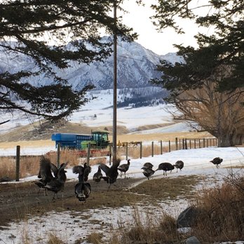 Pine Creek Lodge - Hotels Near Me - Livingston, Montana
