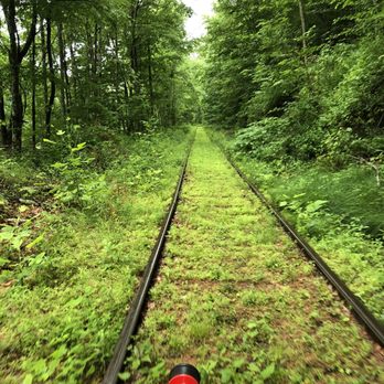 Rail Explorers - Catskills Division - Woods - Tours Near Me - Phoenicia, New York