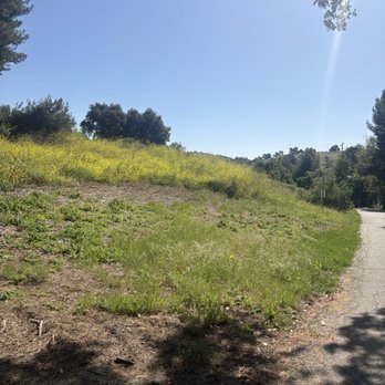 Frank G Bonelli Regional Park - Hill view low incline - Parks Near Me - San Dimas, California