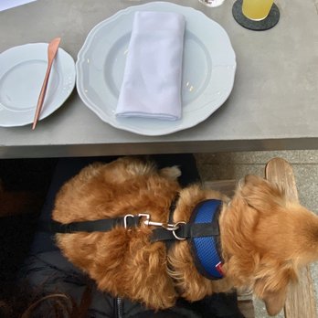 Angler - Dog friendly-- HIGHLY recommend :) - Seafood Near Me - San Francisco, California Angler - Dog friendly-- HIGHLY recommend :) - Seafood Near Me - San Francisco, California