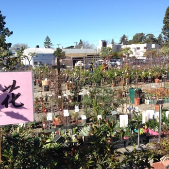 Berkeley Horticultural Nursery - Overlooking the grounds - Nurseries & Gardening Near Me - Berkeley, California