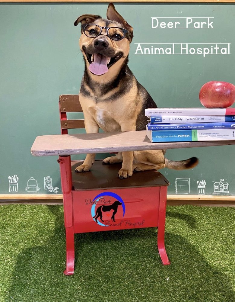 "Bark to School" group play pic K loves it there! Yelp