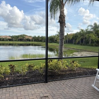 Joshua Tree - Trimmed trees - Tree Services Near Me - Cape Coral, Florida Joshua Tree - Trimmed trees - Tree Services Near Me - Cape Coral, Florida