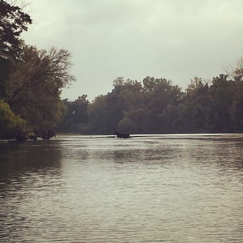 LCRA - Cow crossing the Colorado River - Boating Near Me - La Grange, Texas LCRA - Cow crossing the Colorado River - Boating Near Me - La Grange, Texas