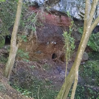 Waihou Spring Trail - Caves near spring - Hiking Near Me - Makawao, Hawaii Waihou Spring Trail - Caves near spring - Hiking Near Me - Makawao, Hawaii