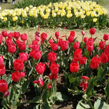 Floral Library National Mall - Parks Near Me - Washington, DC, District of Columbia Floral Library National Mall - Parks Near Me - Washington, DC, District of Columbia