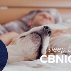 CBD American Shaman Indy - Get some much needed rest with CBNight!
