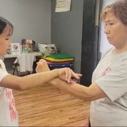 Freeniz Martial Arts -- Wing Chun