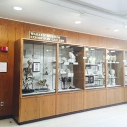 Warren Anatomical Museum