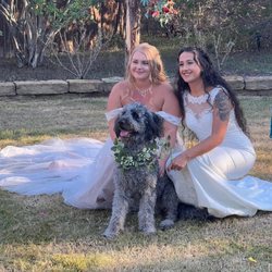 The Wildflower Barn - We were even allowed to bring our fur child to be a part of the ceremony!